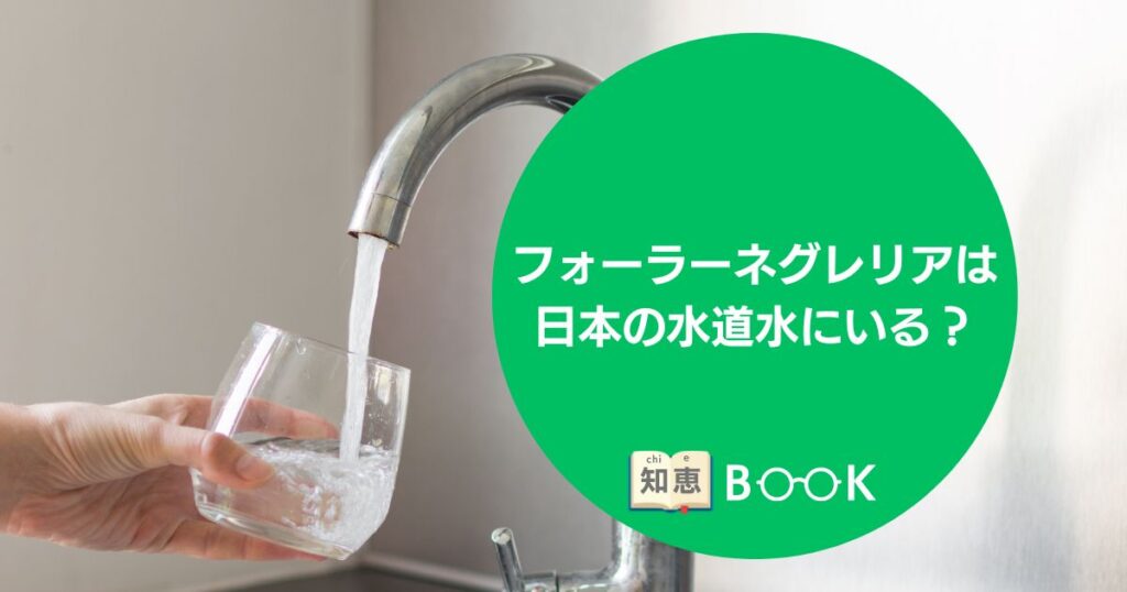 \u6d77\u5916\u30ab\u30b8\u30ce\u306e\u7a0e\u91d1\u3070\u308c\u306a\u3044\uff1f\u30d0\u30ec\u308b\u57fa\u6e96\u3084\u78ba\u5b9a\u7533\u544a\u304c\u3044\u3089\u306a\u3044\u4eba\u3092\u89e3\u8aac | \u77e5\u6075BOOK